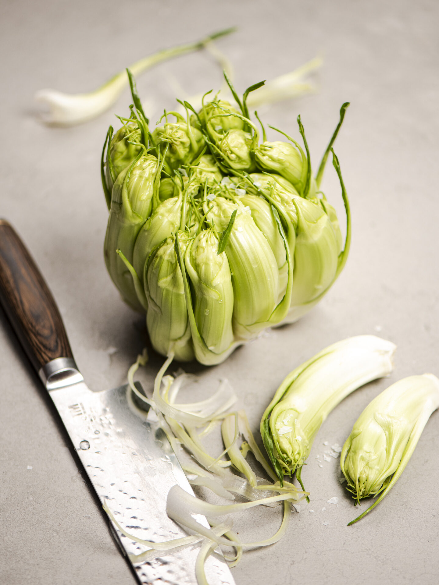 SG 5 puntarelle ontdekking