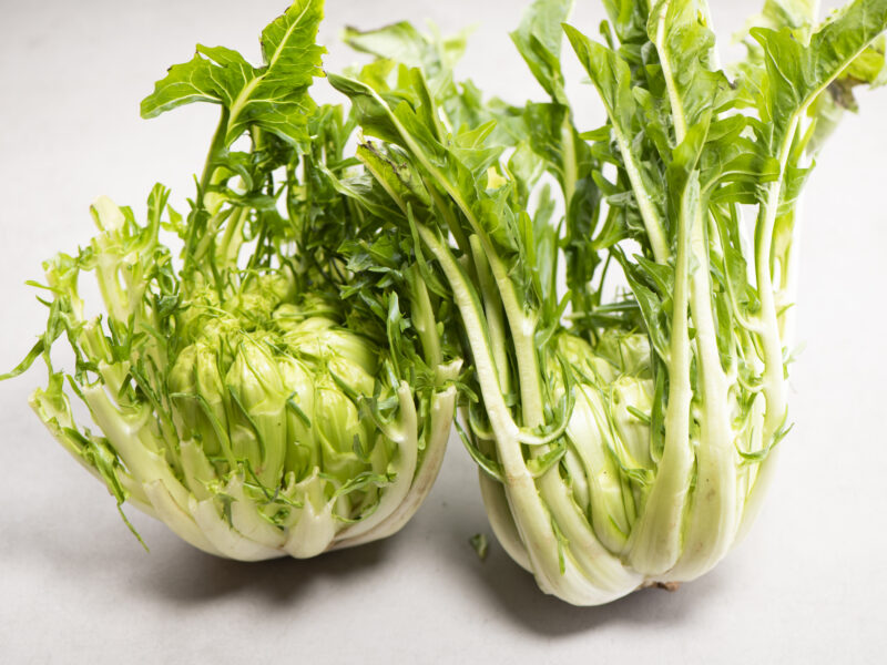 Puntarelle 181